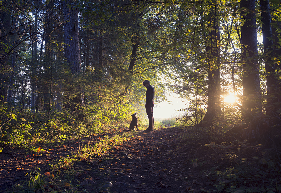 Man walking his dog in the woods with dog