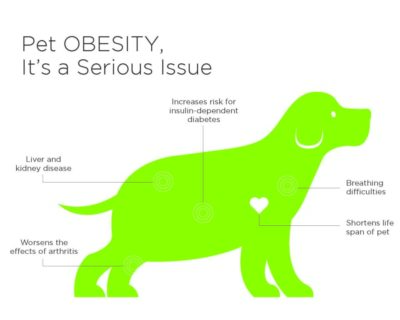 Obesity in Dogs