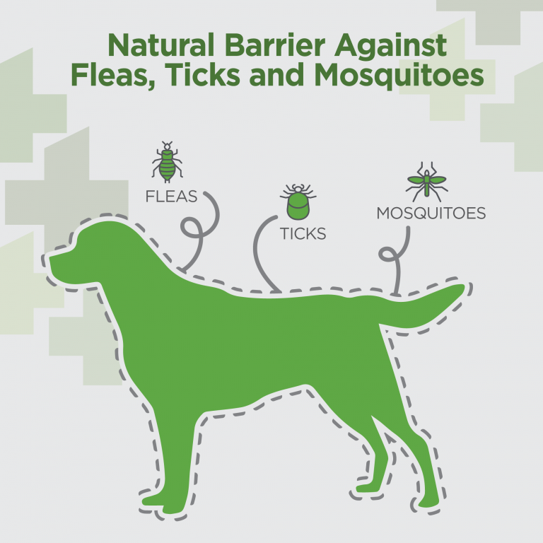 Vetality Naturals Oral Flea & Tick Chews for Dogs 120 ct - Vetality